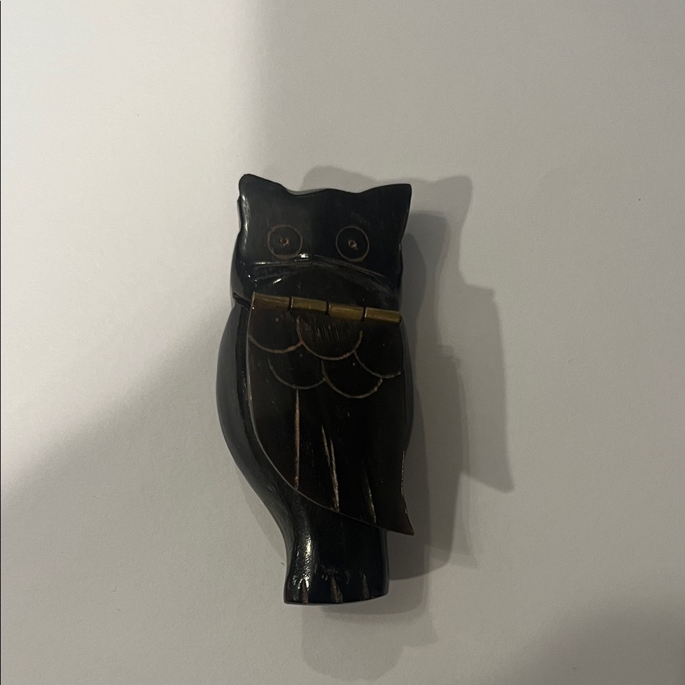 Vintage Hand Carved Beef & Brass Owl Pill Box